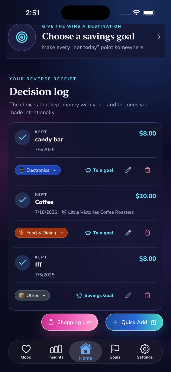 Decision Log showing saved purchases, categories, places, and goal allocations